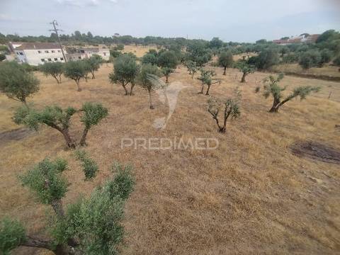 Terreno com casa antigo