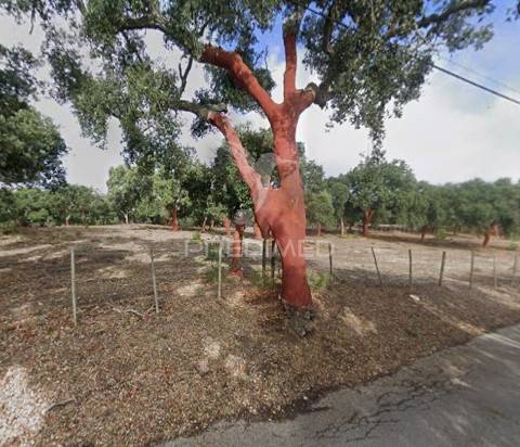Terreno 1.400 m² com projeto aprovado para 2 moradias t2 | setúbal