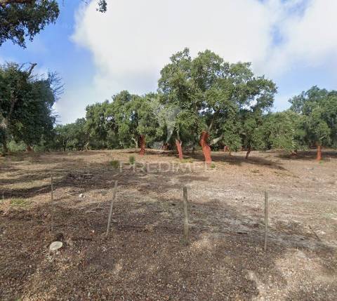 Terreno 1.400 m² com projeto aprovado para 2 moradias t2 | setúbal