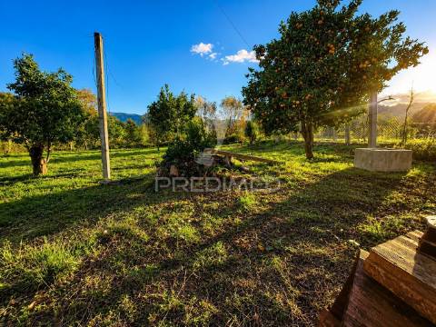 Moradia em pedra p/ restauro em valdreu, vila verde
