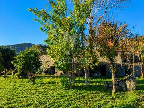 Moradia em pedra p/ restauro em valdreu, vila verde
