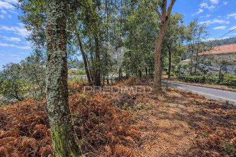 Terreno p/construção em freiriz, vila verde