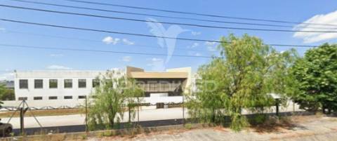 Instalação industrial de grande dimensão na zona industrial de torres novas - 12.056 m²