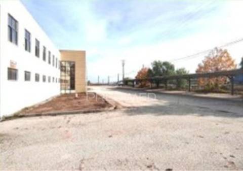 Instalação industrial de grande dimensão na zona industrial de torres novas - 12.056 m²