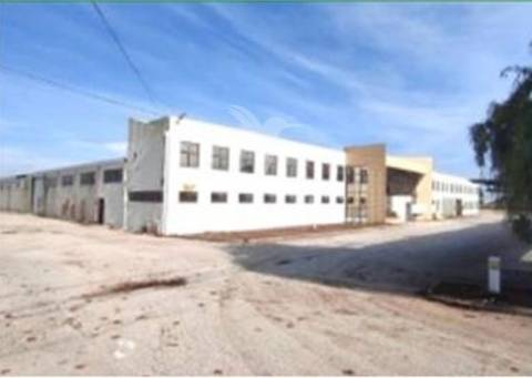 Instalação industrial de grande dimensão na zona industrial de torres novas - 12.056 m²