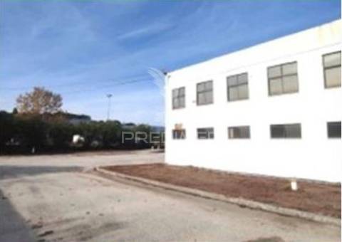 Instalação industrial de grande dimensão na zona industrial de torres novas - 12.056 m²