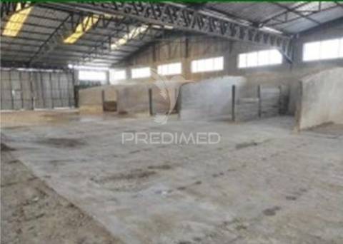 Instalação industrial de grande dimensão na zona industrial de torres novas - 12.056 m²