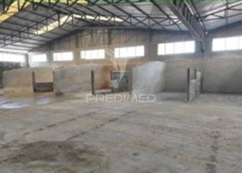 Instalação industrial de grande dimensão na zona industrial de torres novas - 12.056 m²