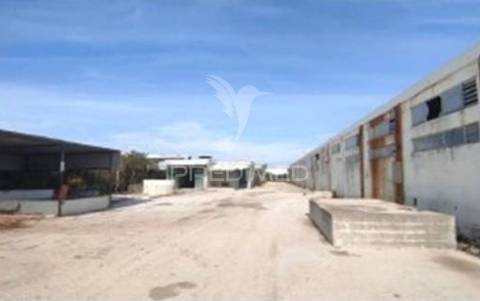Instalação industrial de grande dimensão na zona industrial de torres novas - 12.056 m²