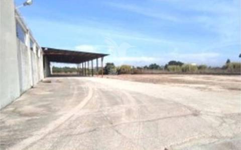 Instalação industrial de grande dimensão na zona industrial de torres novas - 12.056 m²