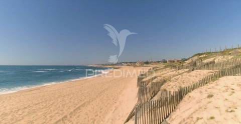 Terreno urbano francelos