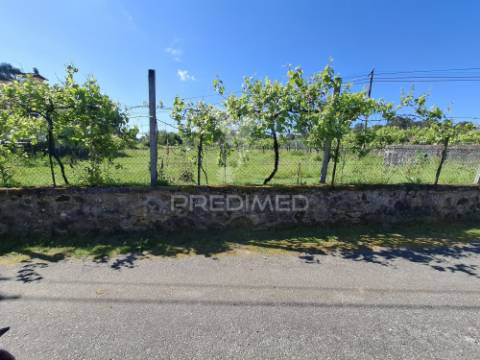 Terreno p/construção em codeceda, vila verde