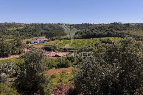 Quinta para construção de moradia