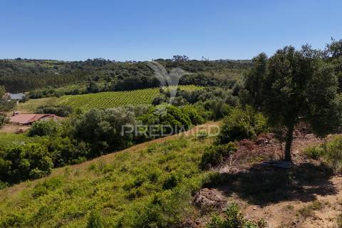 Quinta para construção de moradia