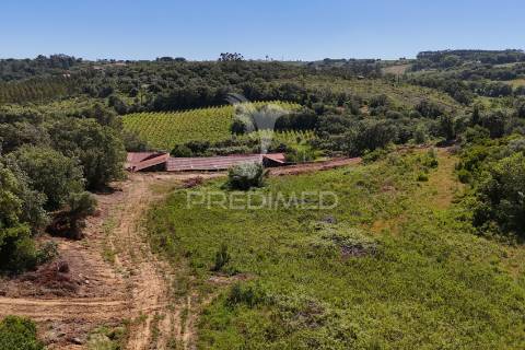 Quinta para construção de moradia