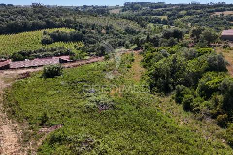 Quinta para construção de moradia