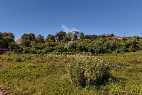 Quinta para construção de moradia
