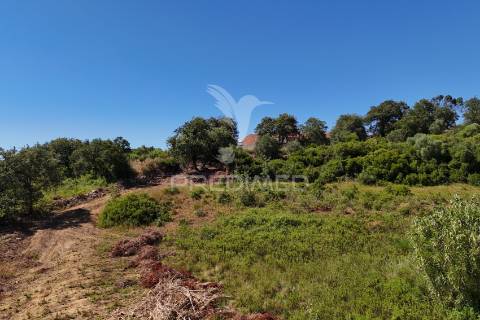 Quinta para construção de moradia