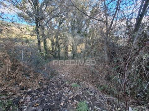 Terreno com 7900 m² em codeceda, vila verde (braga)