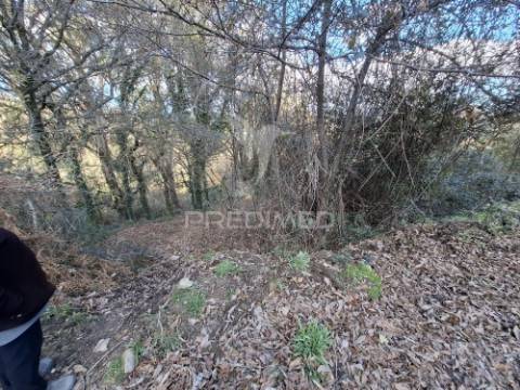 Terreno com 7900 m² em codeceda, vila verde (braga)
