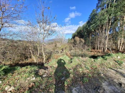 Terreno com 7900 m² em codeceda, vila verde (braga)