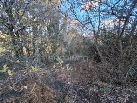 Terreno com 7900 m² em codeceda, vila verde (braga)