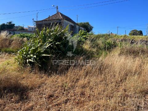 Moradia para recuperar com 2 palheiros e 1348m2 de terreno na ponta do pargo