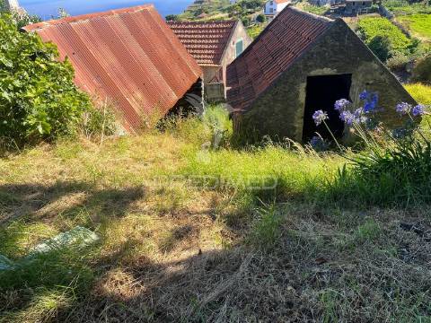 Moradia para recuperar com 2 palheiros e 1348m2 de terreno na ponta do pargo