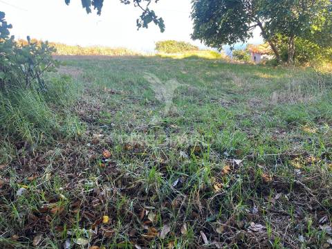 Moradia para recuperar com 2 palheiros e 1348m2 de terreno na ponta do pargo