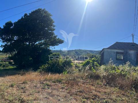 Moradia para recuperar com 2 palheiros e 1348m2 de terreno na ponta do pargo
