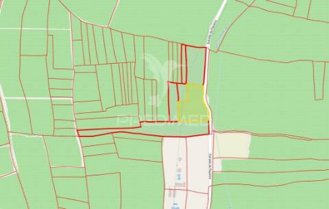 Terreno com olival tradicional – 11.250 m² | estrada da figueira, campo maior