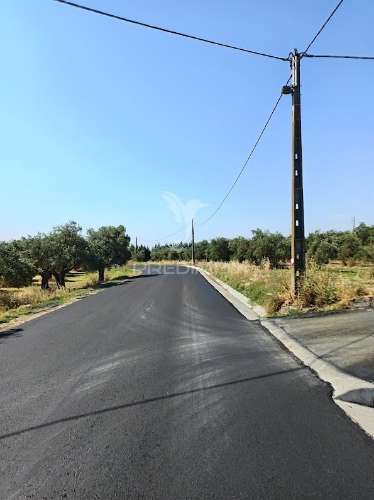 Terreno com olival tradicional – 11.250 m² | estrada da figueira, campo maior