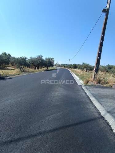Terreno com olival tradicional – 11.250 m² | estrada da figueira, campo maior