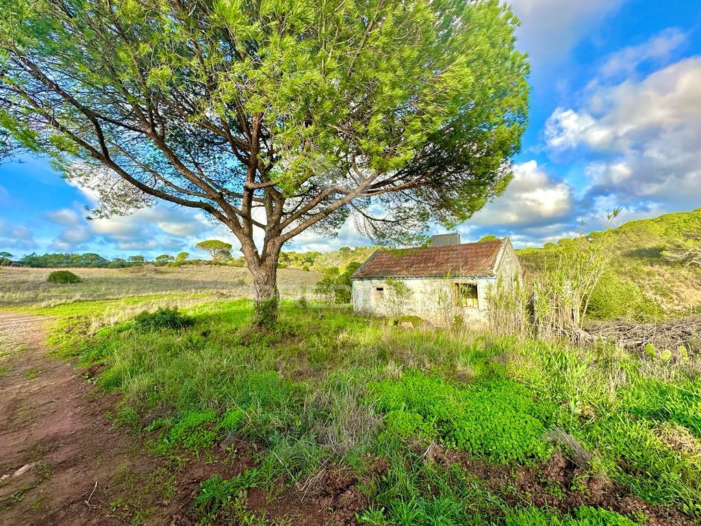 Herdade em melides, vista mar