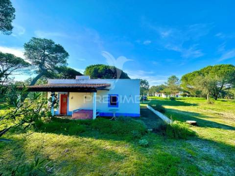 Herdade em melides, vista mar