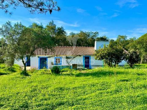 Herdade em melides, vista mar