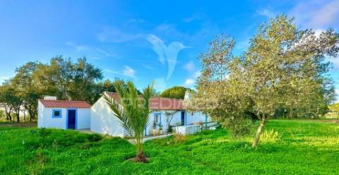 Herdade em melides, vista mar