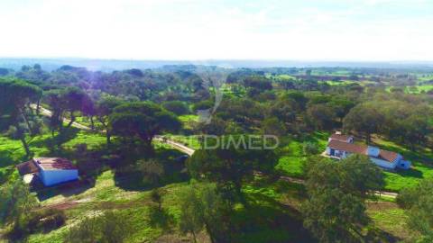 Herdade em melides, vista mar