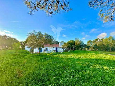 Herdade em melides, vista mar