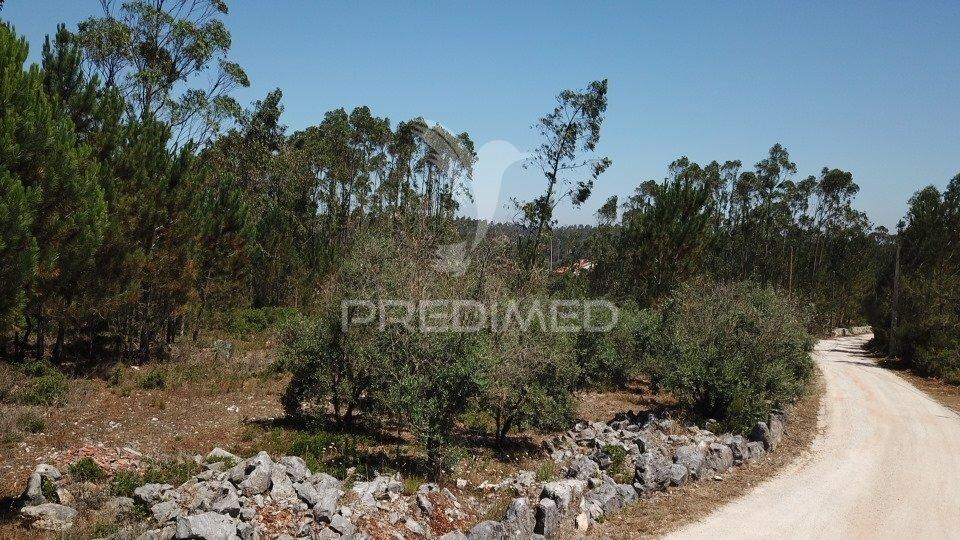 Terreno urbanizável com 1.570 m² | perulheira – são mamede