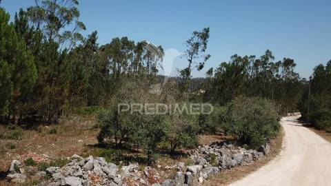 Terreno urbanizável com 1.570 m² | perulheira – são mamede