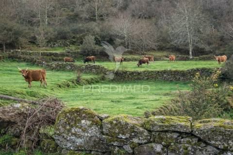 Moradia em pedra p/ restauro - parque nacional peneda-gerês