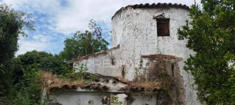 Quinta rural