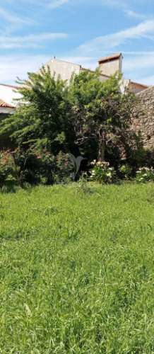 Moradia em nisa