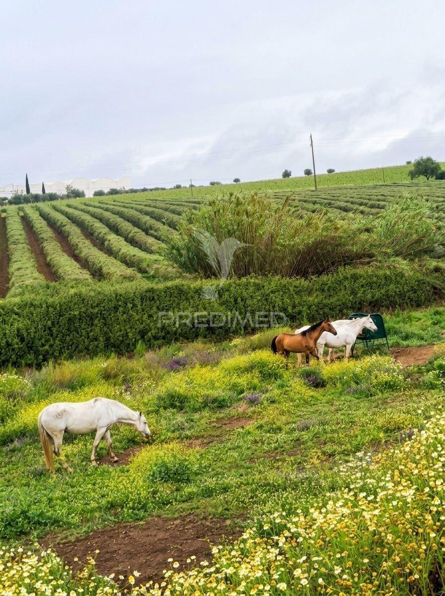 Beja - vidigueira  - um legado no coração do alentejo