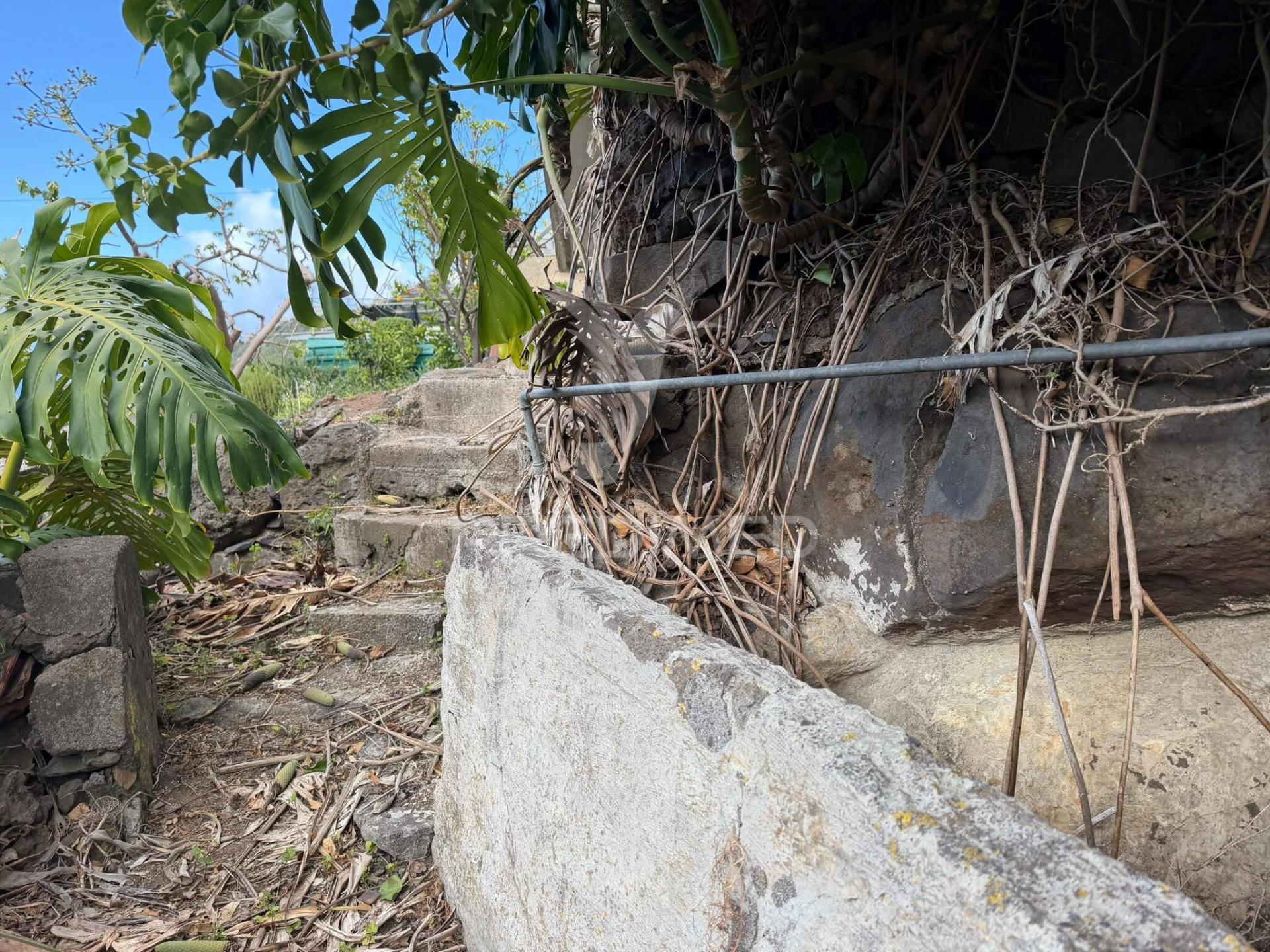 Casa térrea para recuperar com terreno agrícola