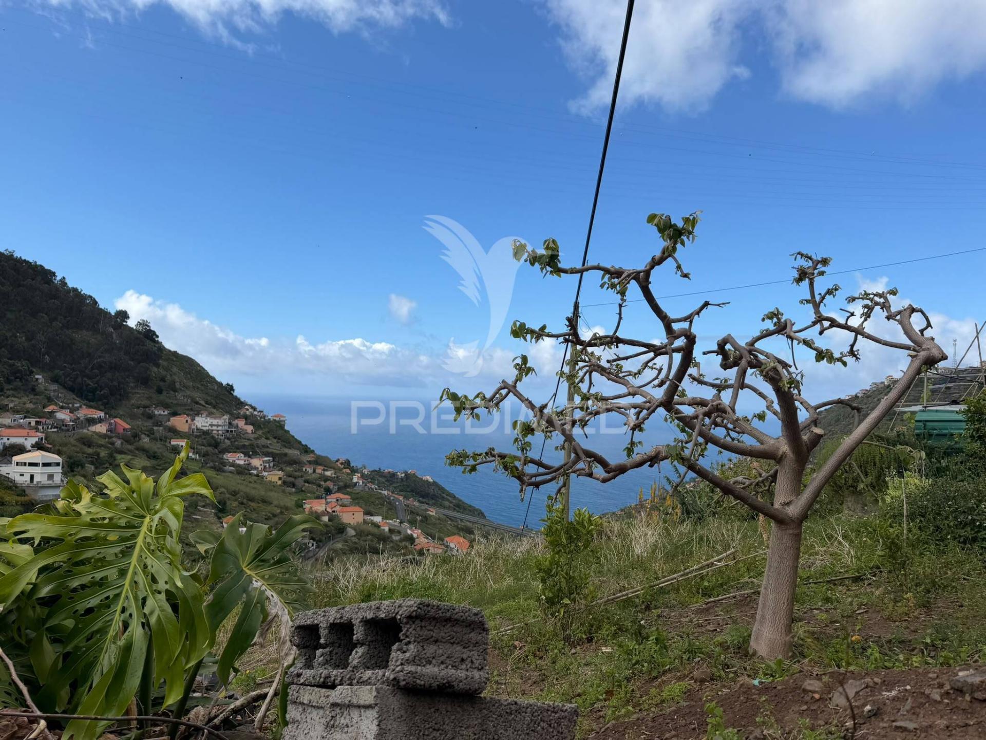 Casa térrea para recuperar com terreno agrícola