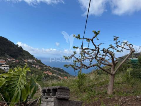 Casa térrea para recuperar com terreno agrícola