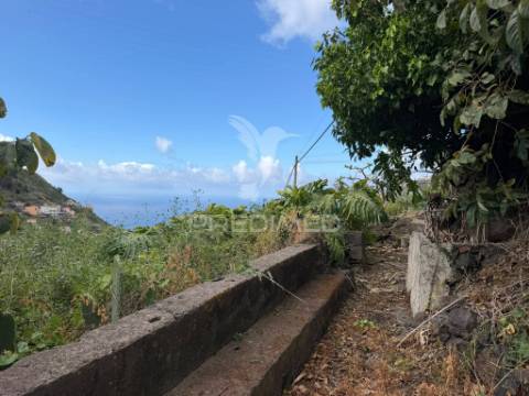 Casa térrea para recuperar com terreno agrícola