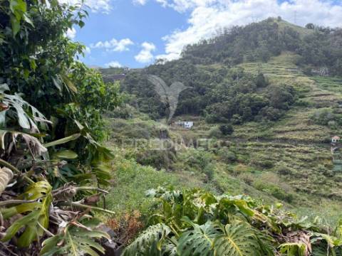 Casa térrea para recuperar com terreno agrícola